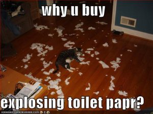 lolcatswhyubuyexplosingtoiletpapr.jpg