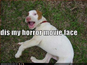 loldogsdismyhorrormovieface.jpg