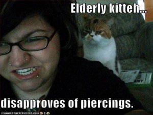lolcatselderlykittehdisapprovesofpiercings.jpg
