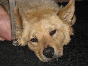 IMG_3974 freke.jpg