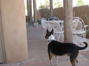IMG_3857 freke.jpg