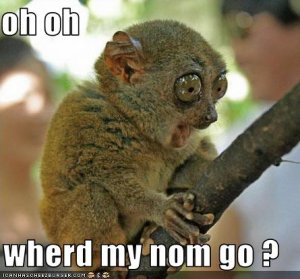 lolmarsupialwherdmynomgo.jpg