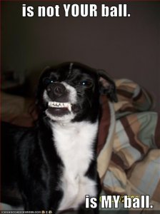 loldogsisnotYOURballisMYball.jpg