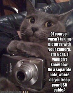 lolcatphotog2.JPG