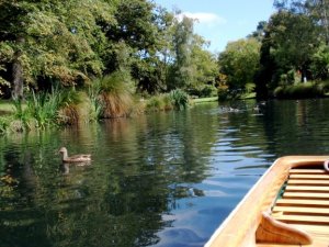 BEGChristchurchPunting1.jpg BEGChristchurchPunting1.jpg