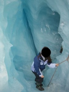 BEGFoxGlacier4.jpg