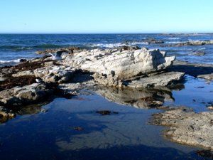BEGKaikoura.jpg
