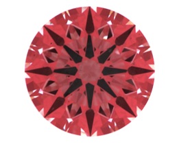 md222.jpg