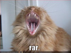 lolcatsrar.jpg