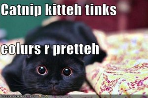 lolcatscatnipkittehtinkscolursrpretteh.jpg
