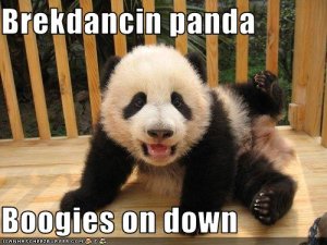 lolpandasbrekdancinpanda.jpg