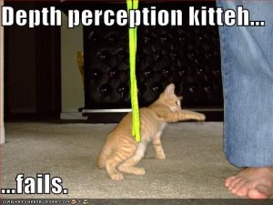 lolcatsdepthperceptionkitteh.jpg
