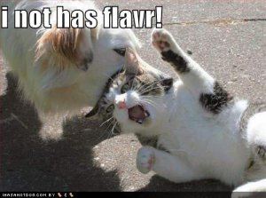 loldogsinothasflavr.jpg