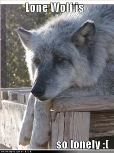 loldogslonewolfissolonely.jpg