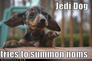 loldogsjedidogsummonnoms.jpg