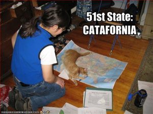 catafornia.jpg