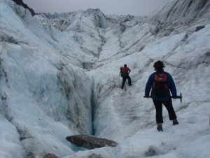 BEGFoxGlacier3.jpg BEGFoxGlacier3.jpg