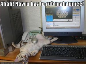 lolcatsahahnowuhaztorubmahtumee.jpg