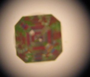 30785645.JPG