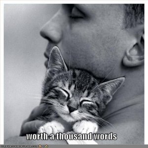 lolcatsworthathousandwords.jpg