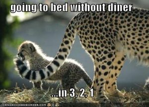 lolcatsgoingtobedwithoutdiner.jpg