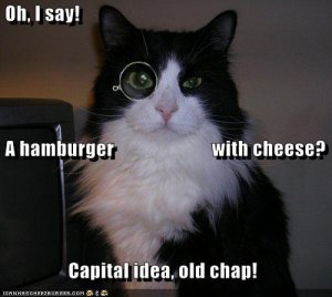 lolcatsohisay.jpg
