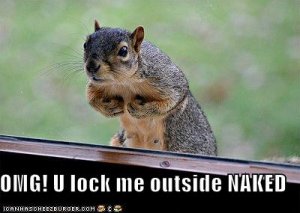 lolsquirrelsomgulockmeoutsidenaked.jpg