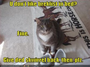 lolcatsbrekfistinbed.jpg