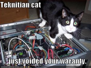 lolcatsteknitiancat.jpg