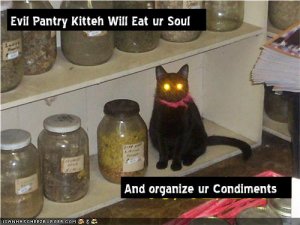 lolcatsevilpantrykitteh.jpg
