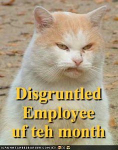 lolcatsdisgruntledemployeeuftehmonth.jpg