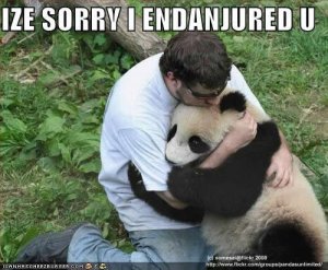 lolpandasizesorryiendanjuredu.jpg