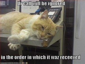 catignoresphone.jpg