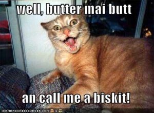 lolcatswellbuttermybutt.jpg