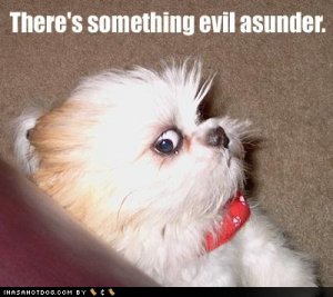 loldogstheressomethingevilasunder.jpg