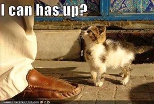 lolcatsicanhasup.jpg