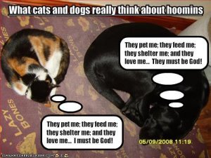 catdogGod.JPG