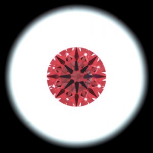 IS_AGS9744805.jpg