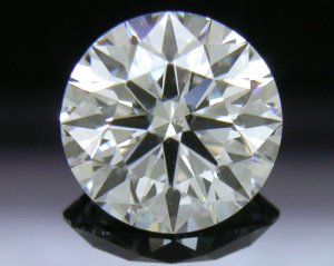 DI40X_AGS9744805.jpg