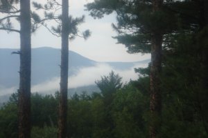 view2recep.JPG