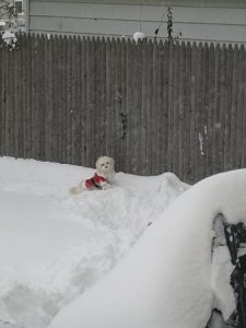 SantaBailey.jpg