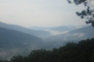 reception view 1.JPG