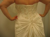 62709backdetail.jpg