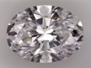 1159497pic.JPG