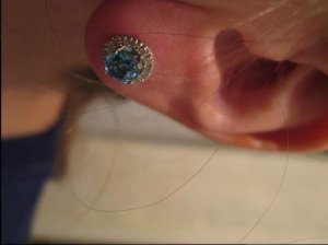 IMG0405.jpg