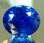 ceys608-2.jpg