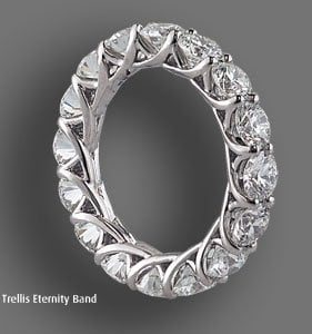 trellisband.jpg