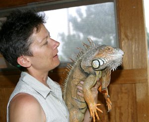iguana.jpg