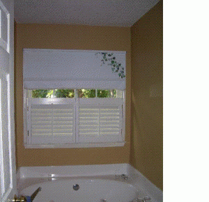 fisharghmasterbath.GIF