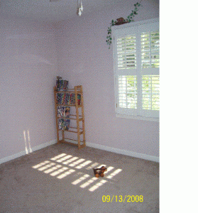 fisharghbabyroom.GIF